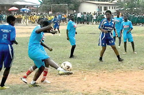 School community members